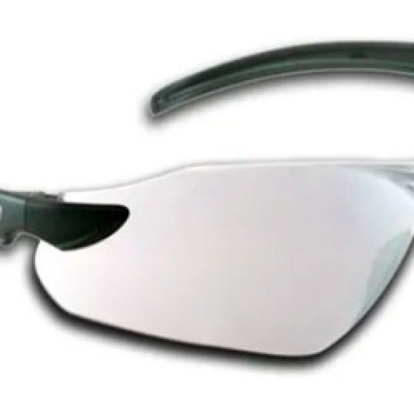 Gafas De Seguridad Msa Vista